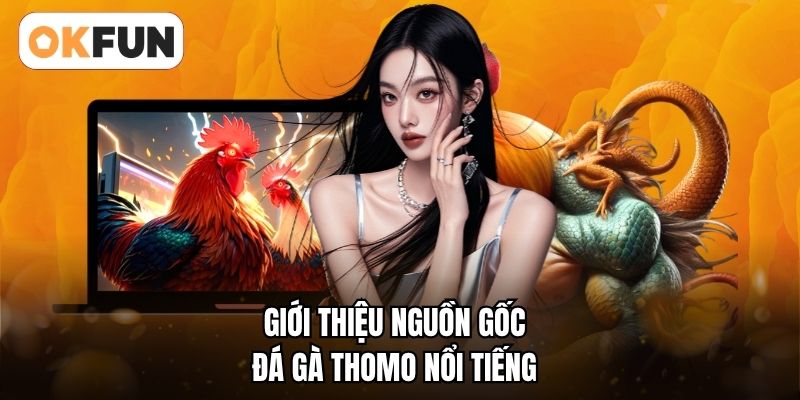 Giới thiệu nguồn gốc đá gà Thomo nổi tiếng