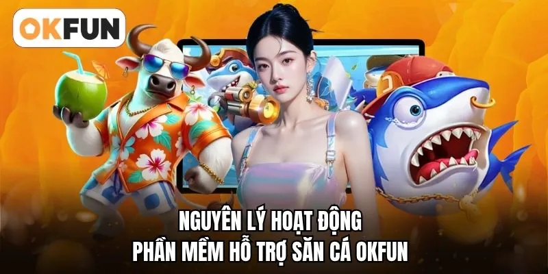 Nguyên lý hoạt động phần mềm hỗ trợ săn cá OKFUN