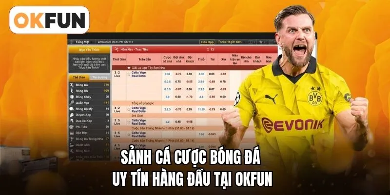Sảnh cá cược bóng đá uy tín hàng đầu tại OKFUN