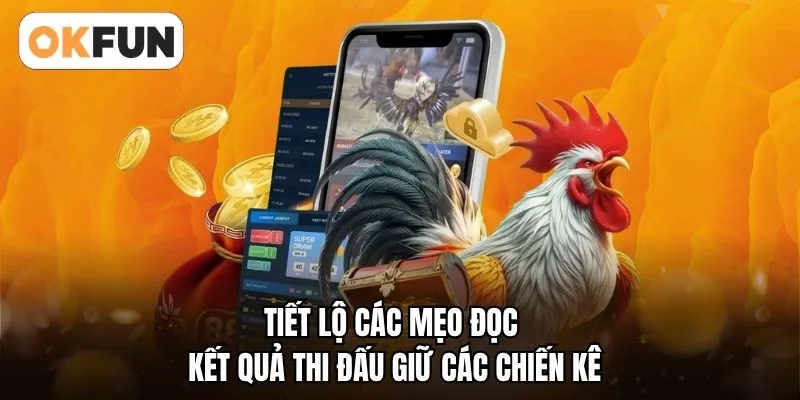 Tiết lộ các mẹo đọc kết quả thi đấu giữ các chiến kê