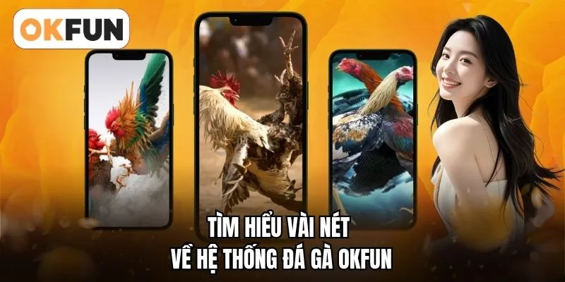 Tìm hiểu vài nét về hệ thống đá gà OKFUN